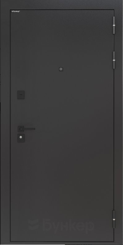 Товар Дверь BN-01.2 DIS006813